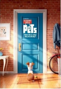 Teen Movie Night: Secret Life of Pets (G)