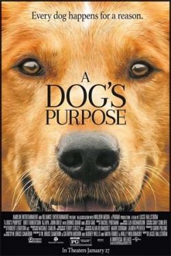 Teen Movie Night: A Dog's Purpose (PG)