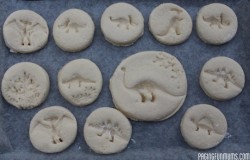 Crafternoons - Make Your Own Dinosaur Fossils!